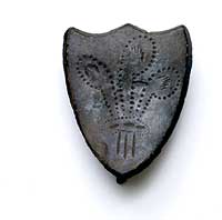 Bridle or knapsack shield