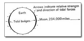 Effect of moon pull